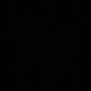 Meet your Posher, Savannah